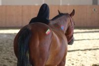 'Wenn Worte nicht mehr reichen...' Einzeltherapie